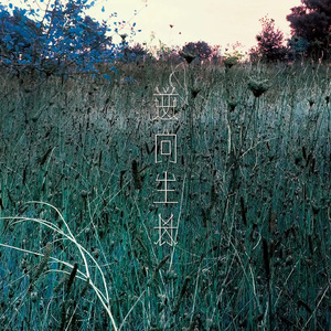 01. 久违的清晨 Long Lost Morning