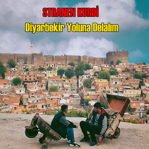 Diyarbekir Yoluna Delalım