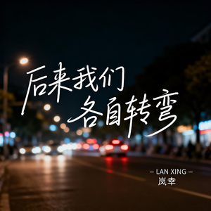 后来我们 各自转弯（热播版）