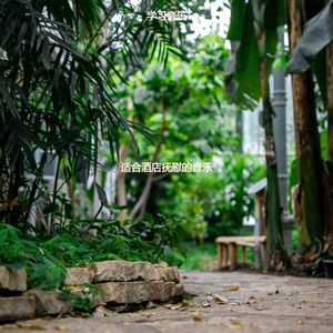 适合旅馆朦胧的音乐