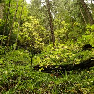 温和午觉时间梦想