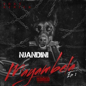 Mayambela (Diss Track)