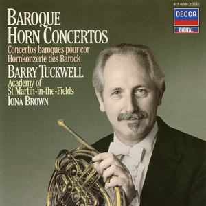 Horn Concerto in E-Flat Major, QV 5:Anh. 13:I. Allegro