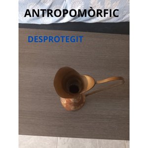 Desprotegit