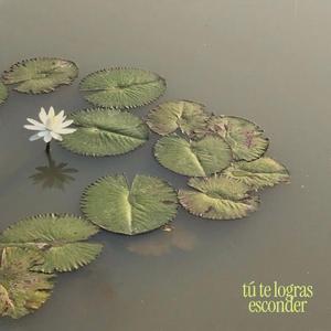 tú te logras esconder