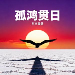 孤鸿贯日
