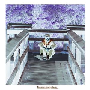 Basic Impulse (feat. Puji & Ecothot) (Instrumental)