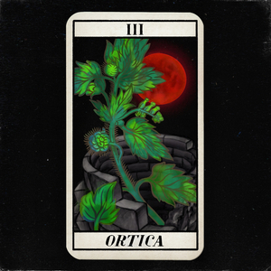 Ortica