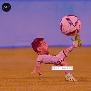 Tiny Soccer