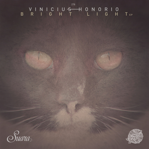 Bright Light (Original Mix)