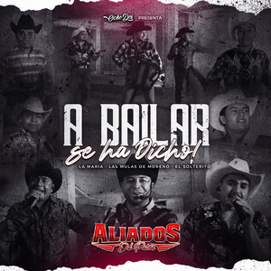 A Bailar se ha Dicho: La Maria / Las Mulas de Moreno / El Solterito (En vivo)