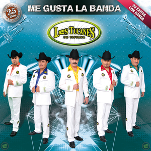 El Borrachín (Versión Banda Sinaloense)