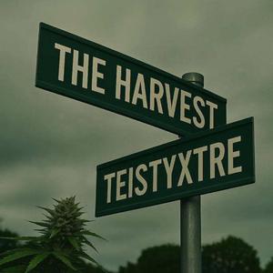 Greatest (feat. RONGO)