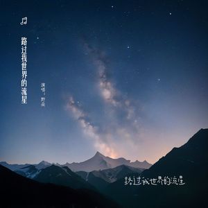 路过我世界的流星