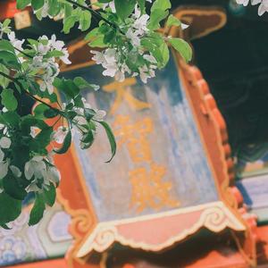 动感时尚的Funk公播音乐