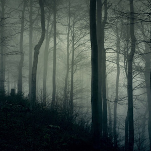 All Must Die (Radio Edit)