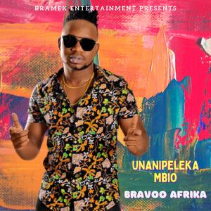 Unanipeleka Mbio