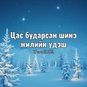 Цас бударсан шинэ жилийн үдэш