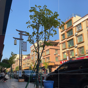 从零岁到十五岁