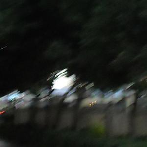 记忆越来越模糊 诀别书/ 八音盒