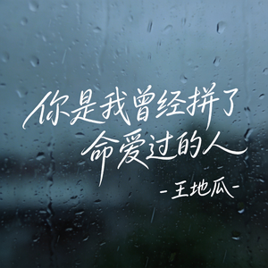 你是我曾经拼了命爱过的人（原版）