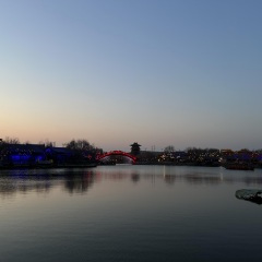 国际范儿 (手势舞)