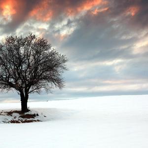 三点半的克莱因蓝