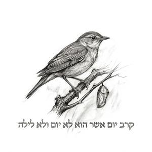 קרב יום