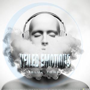 Digital Haze (feat. Stephan Boccioni)