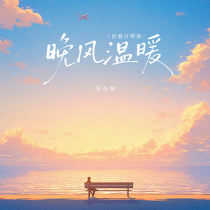 晚风温暖 (治愈合唱版)