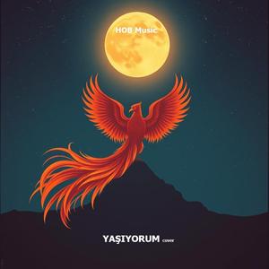 Yaşıyorum (cover)