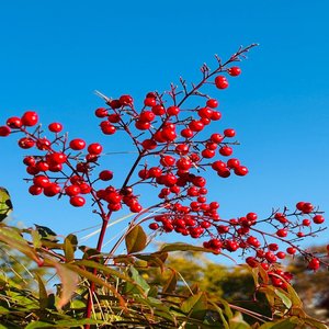 바람에 흔들려도
