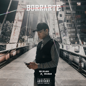 Borrarte