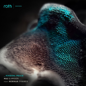 Finding Peace (feat. Hernan Torres) (Original Mix)