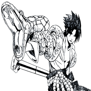 Sasuke Freestyle