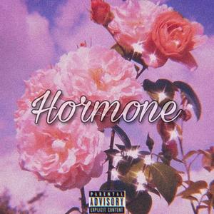 荷尔蒙（Hormone）