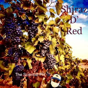 Shiraz D' Red (Instrumental)