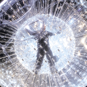 Animal Nation (Live)