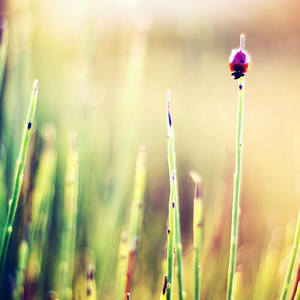 大千世界（现场版）cover只有影子