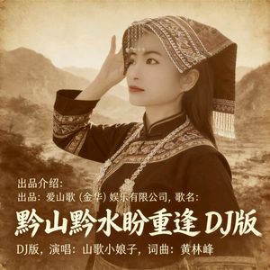 黔山黔水盼重逢（DJ版）