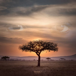 Maasai (Original Mix)