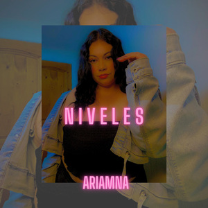 NIVELES