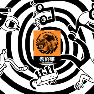 要不要来我家听黑胶