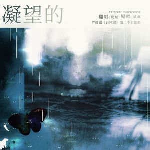 凝望的《台风眼》广播剧第二季女声