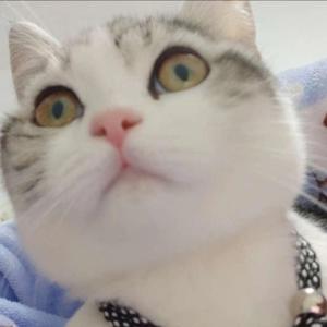 我要我们在一起.wav