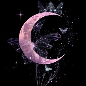 我不希望你孤单地面对整个喧哗世界