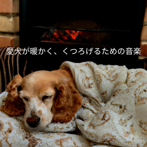 Grand Ambiance for Chill Zones