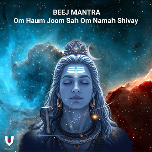 Beej Mantra Om Haum Joom Sah Om Namah Shivay