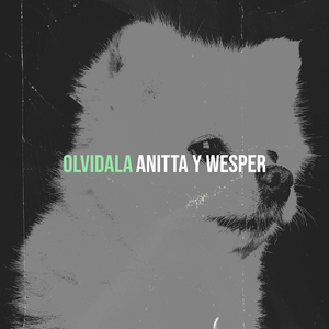 Olvidala