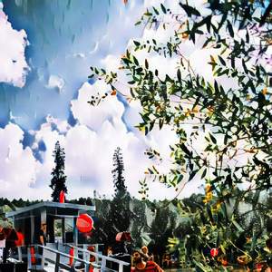 I see the window in your eyes